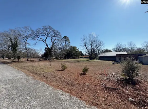 TBD Tabernacle Street, Leesville, SC 29070