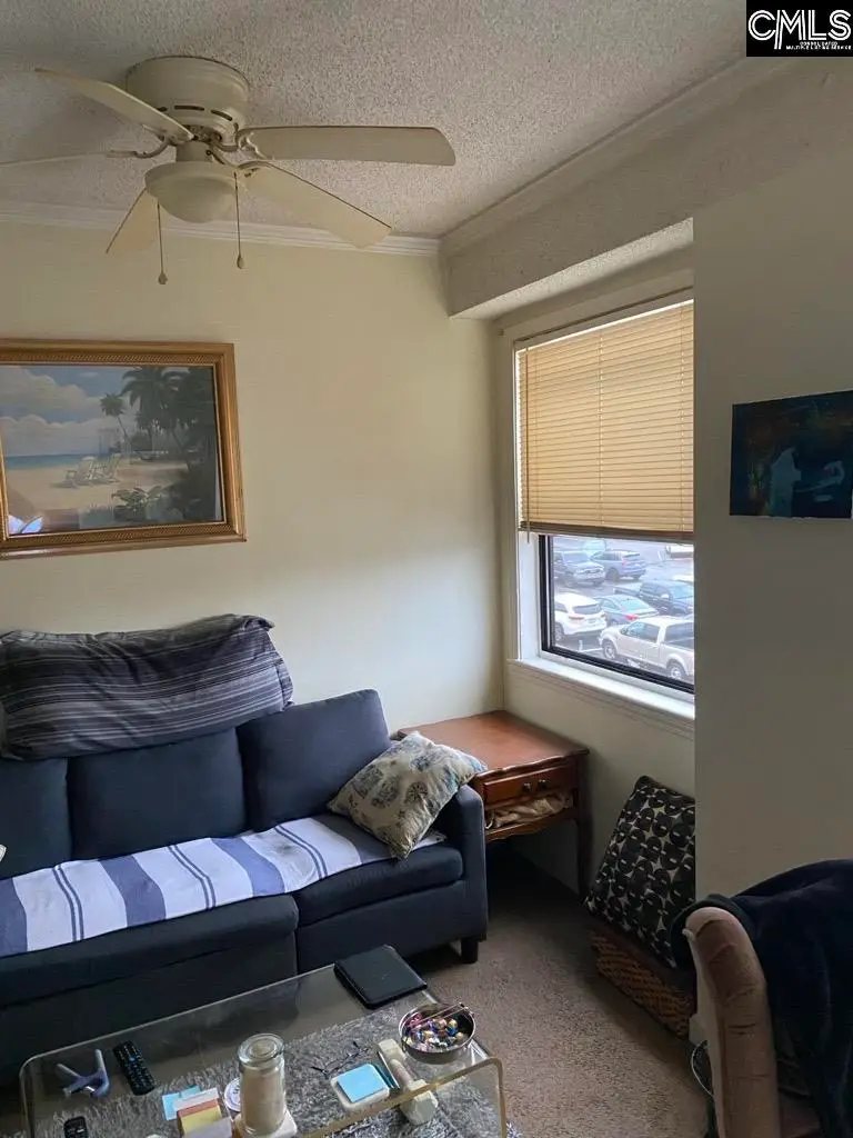 2009 Greene Street #301, Columbia, SC 29205 - Image #1