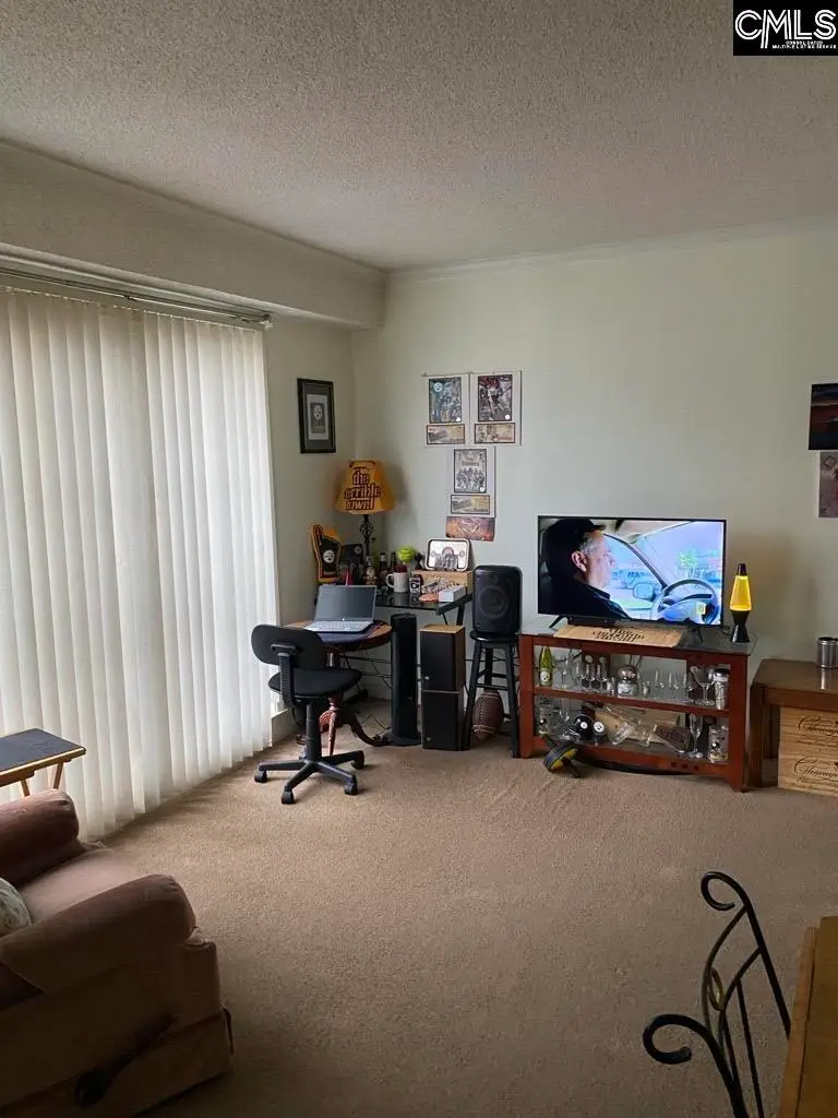 2009 Greene Street #301, Columbia, SC 29205 - Image #2