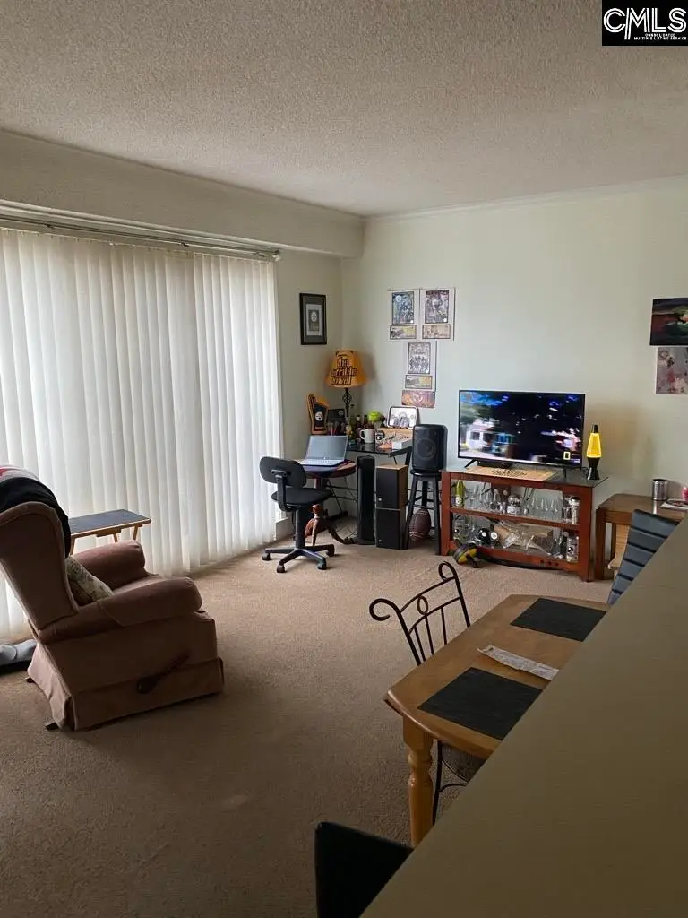 2009 Greene Street #301, Columbia, SC 29205 - Image #3