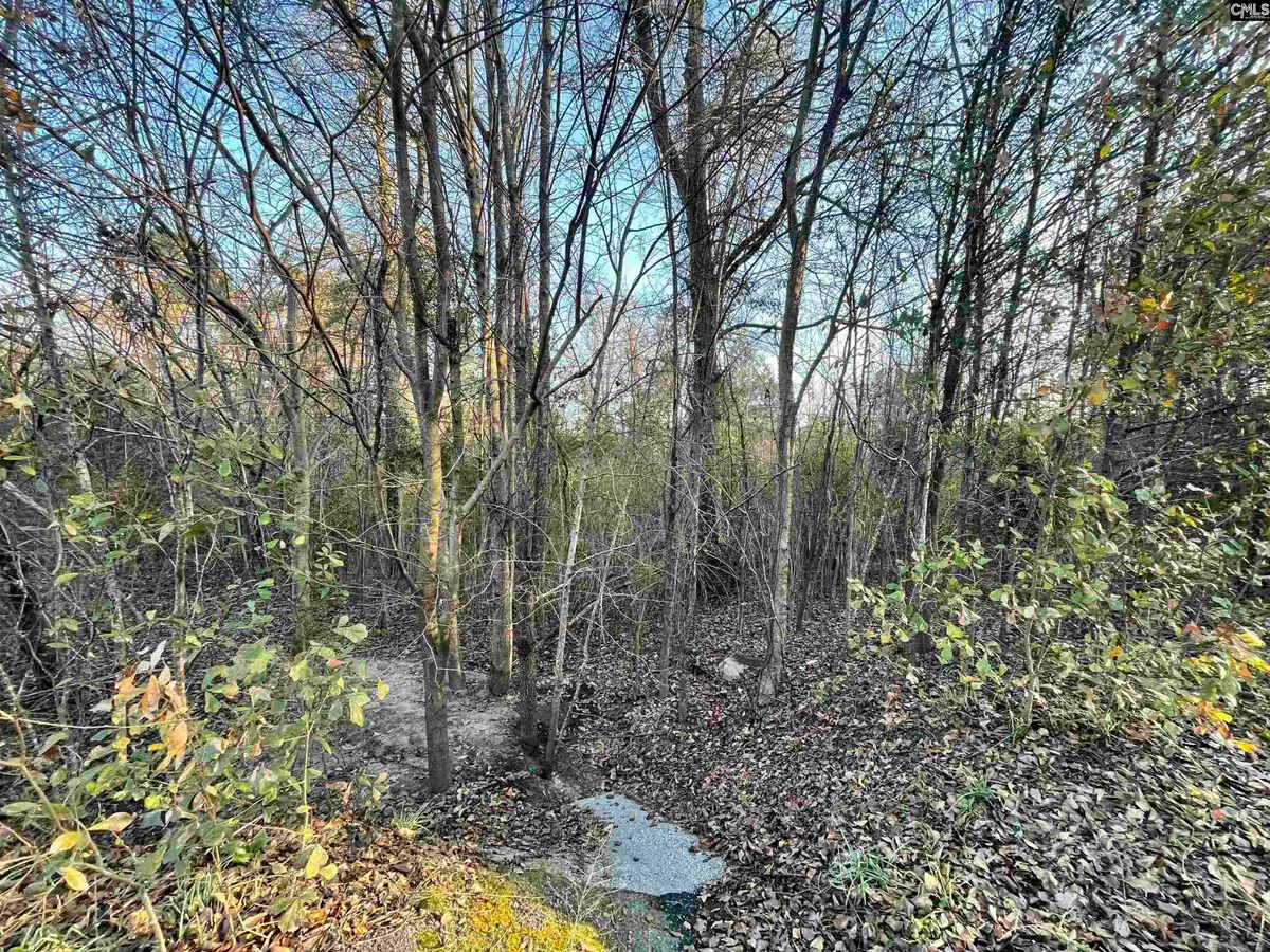 415 Forest Circle, New Ellenton, SC 29809 - #1