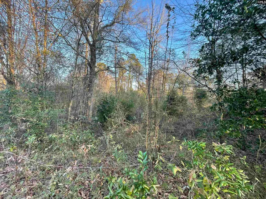 415 Forest Circle, New Ellenton, SC 29809 - #2