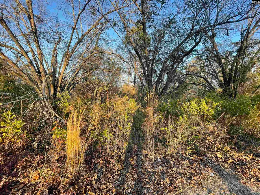 415 Forest Circle, New Ellenton, SC 29809 - #3