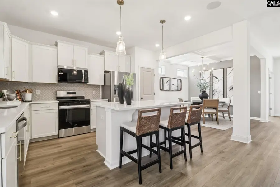 606 Griffon Drive, Chapin, SC 29036 - #2