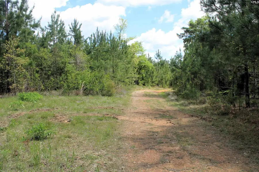 TBD Crooked Creek Road, Chapin, SC 29036 - #2