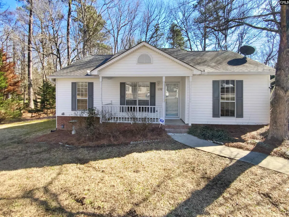 132 Northshore Drive, Chapin, SC 29036 - #1