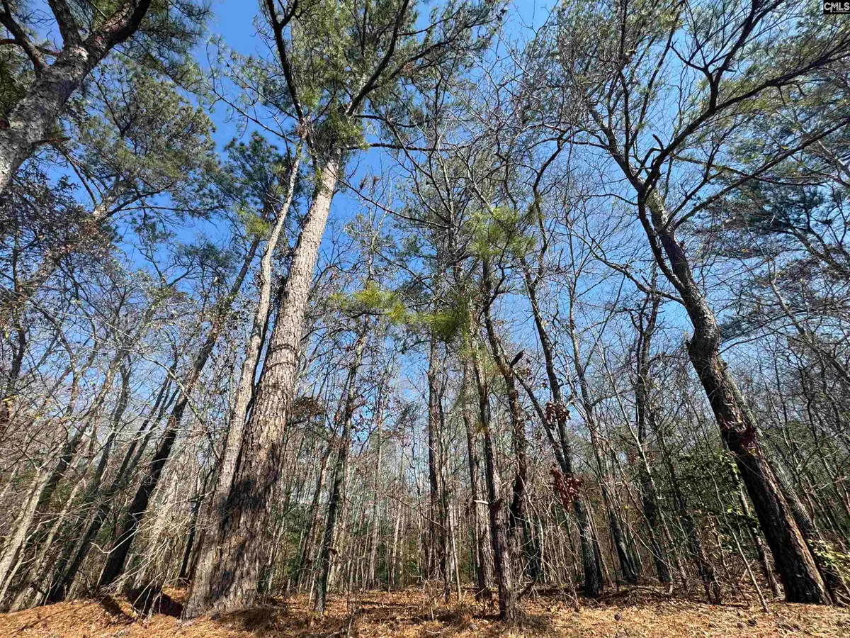 126 Folk Road, Blythewood, SC 29016 - #1