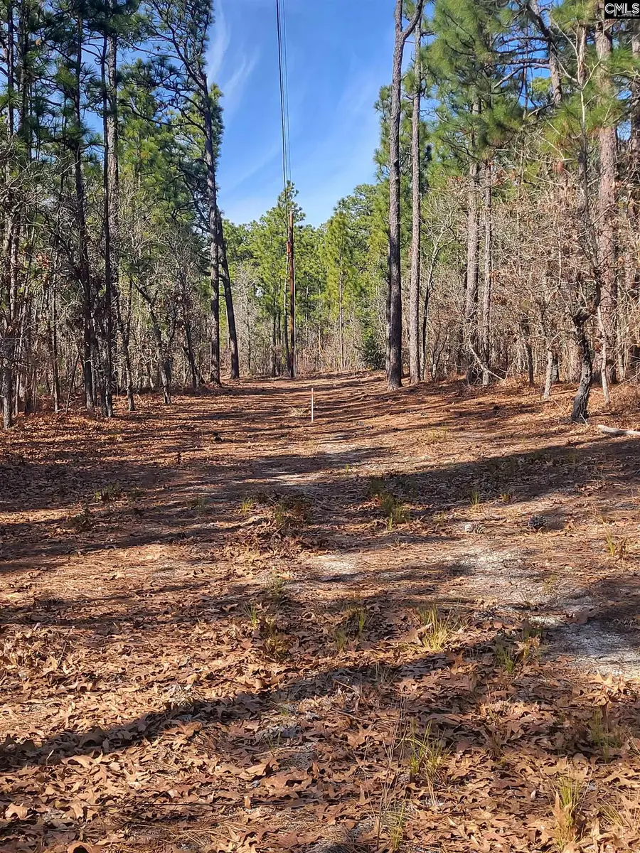 306 Clermont Lakes Drive, Lexington, SC 29073 - #2