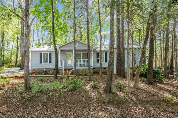 195 Lexington Lane, Chapin, SC 29036