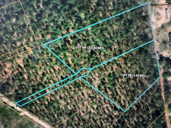 06B Otis Baughman S.r. Road, Wagener, SC 29164