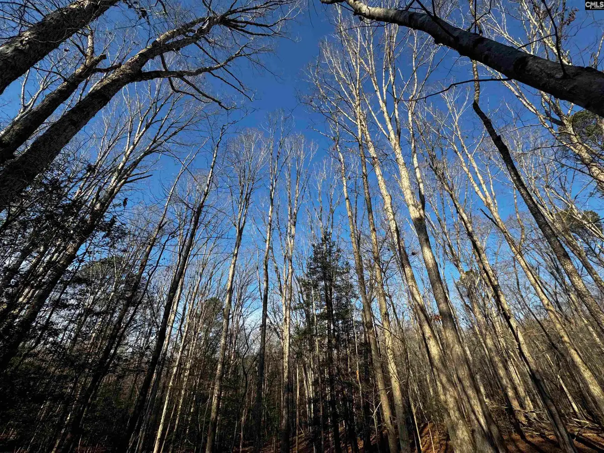 0 Mann Road, Winnsboro, SC 29180 - #1