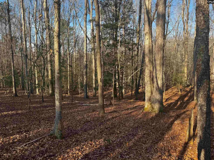 0 Mann Road, Winnsboro, SC 29180 - #3