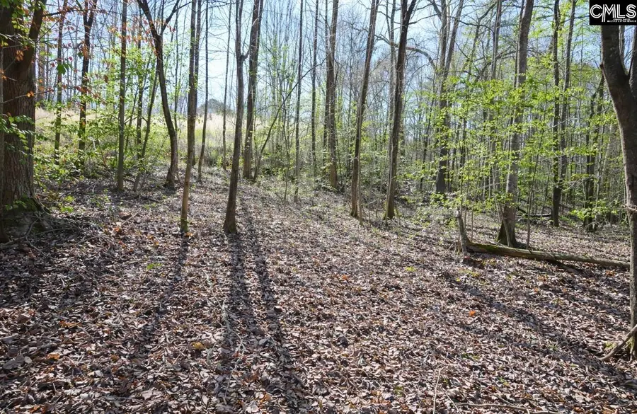 153 Silvery Lane, Liberty, SC 29657 - #3