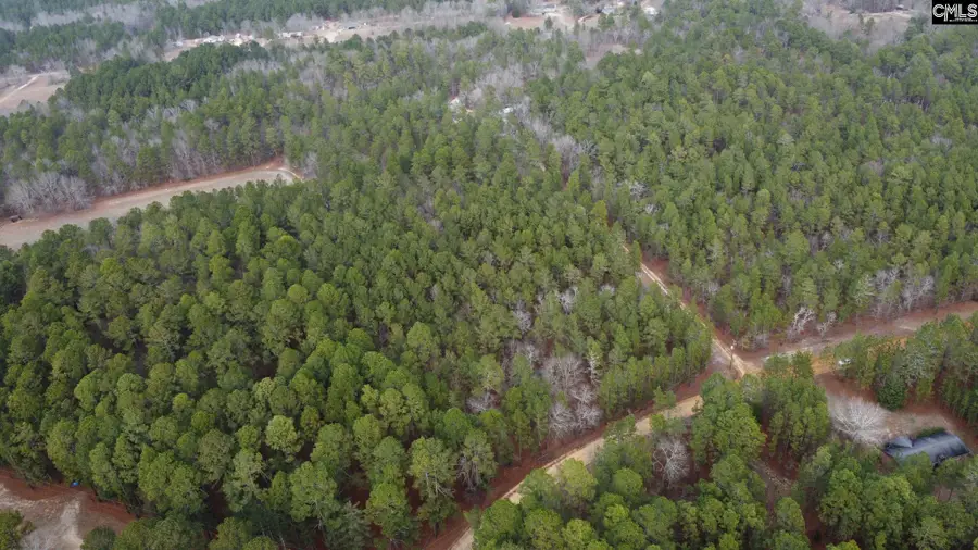 TBD Windsong Lane #15, Pelion, SC 29123 - #3