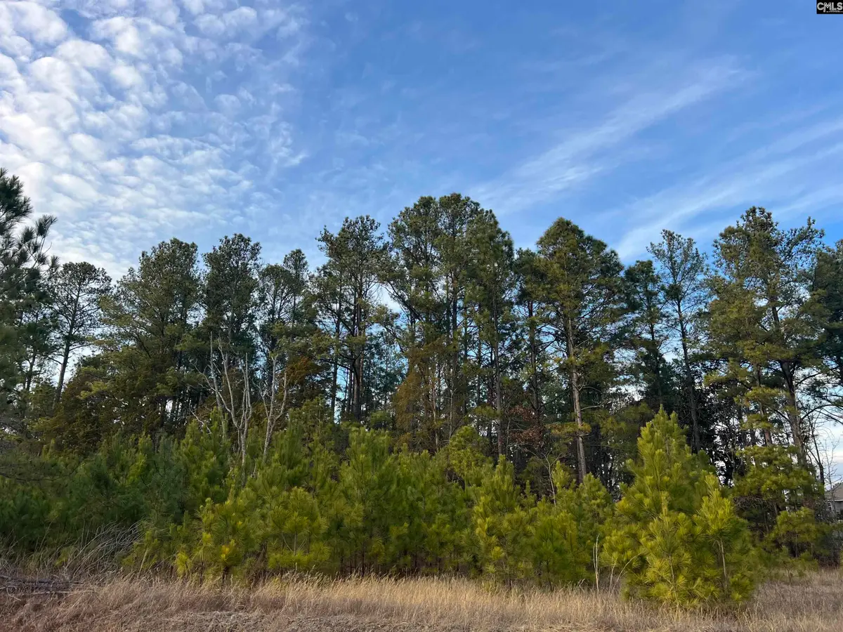 Bluefield Road, Lexington, SC 29073 - #1