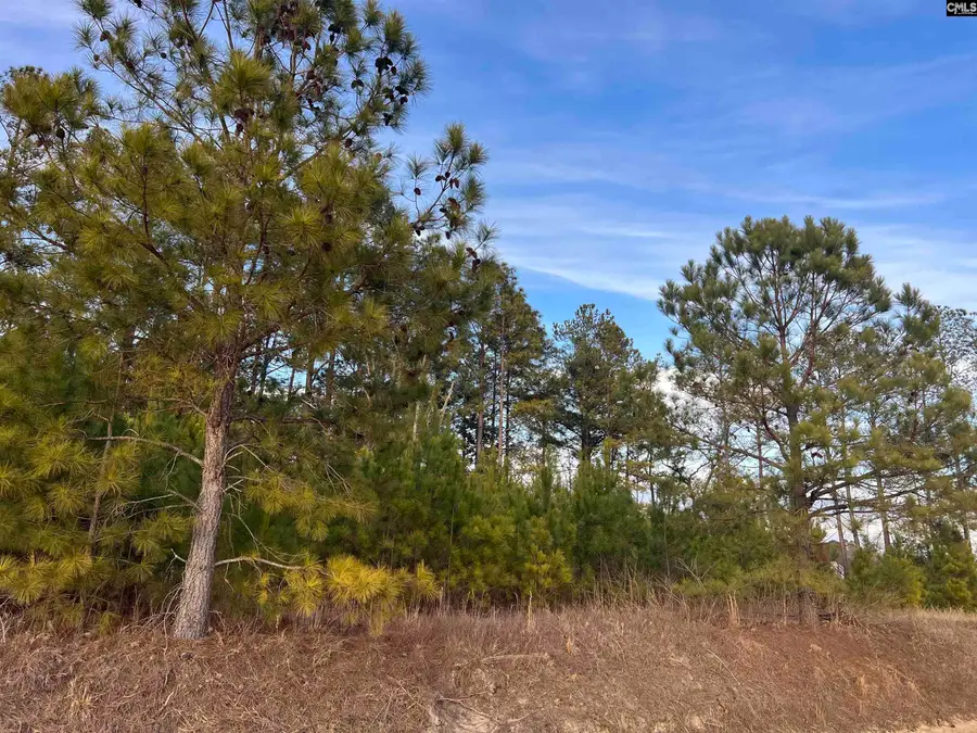 Bluefield Road, Lexington, SC 29073 - #3