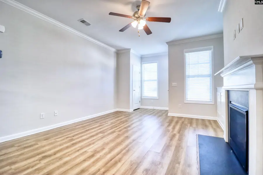 145 Silver Run Place, West Columbia, SC 29169 - #3
