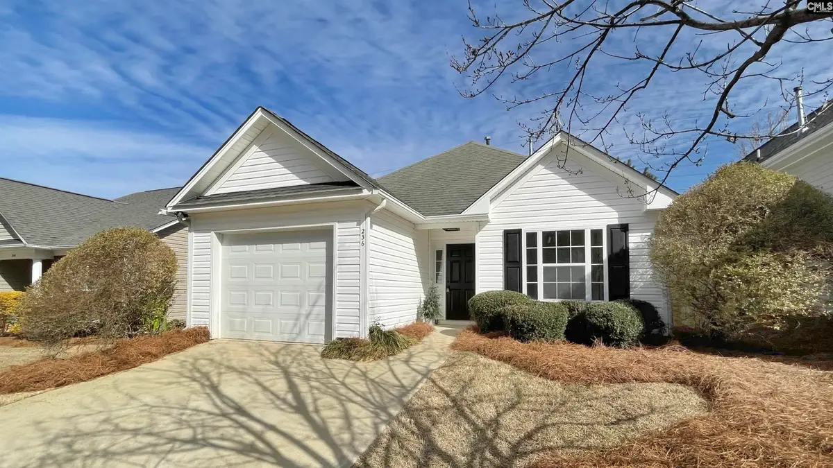 236 Bridgedale Drive, Irmo, SC 29063 - #1