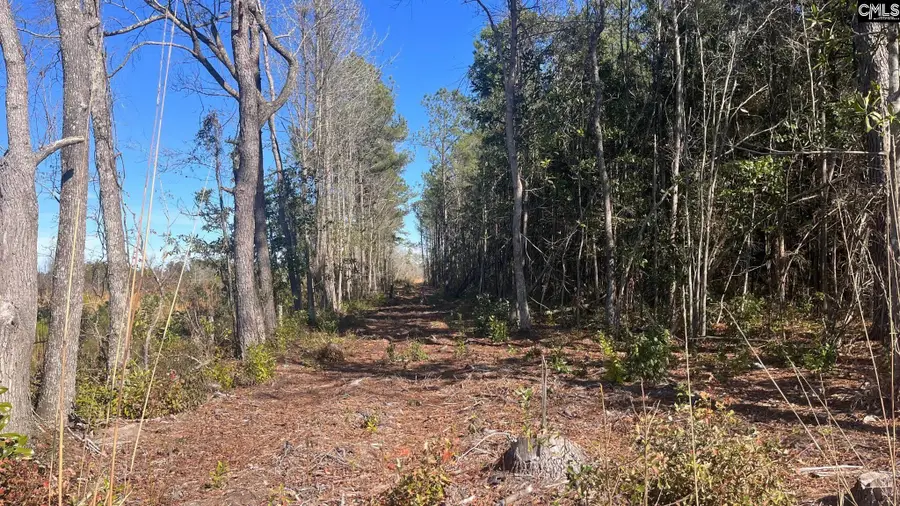 TBD Epps Road, Manning, SC 29102 - #2