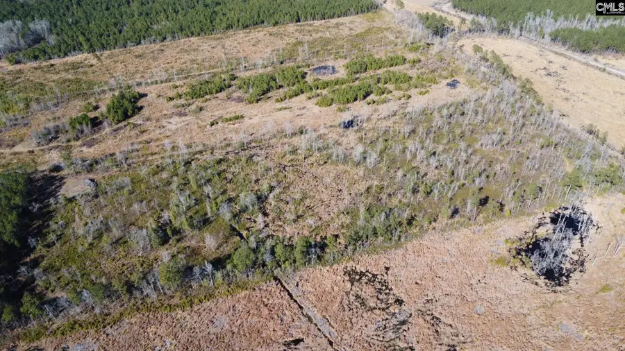 TBD Epps Road, Manning, SC 29102 - #3