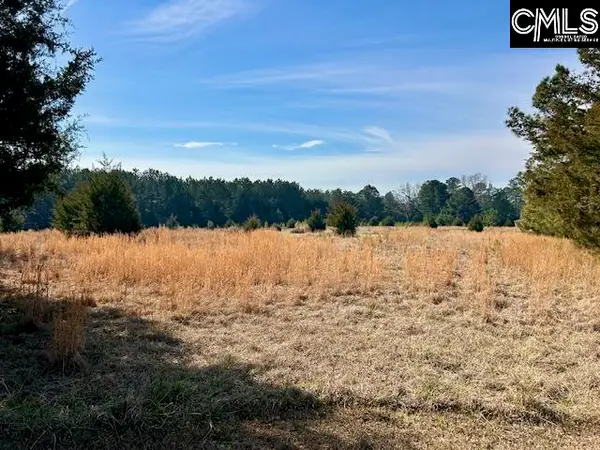 159 Claude Counts Road, Prosperity, SC 29127