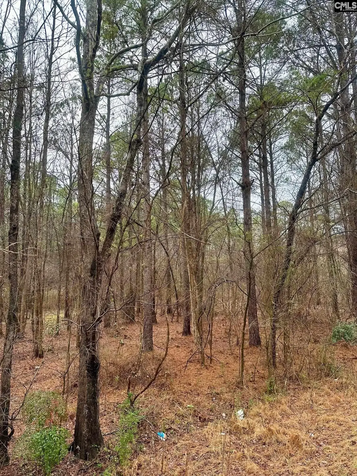 1178 Great Falls Highway, Chester, SC 29706 - #1