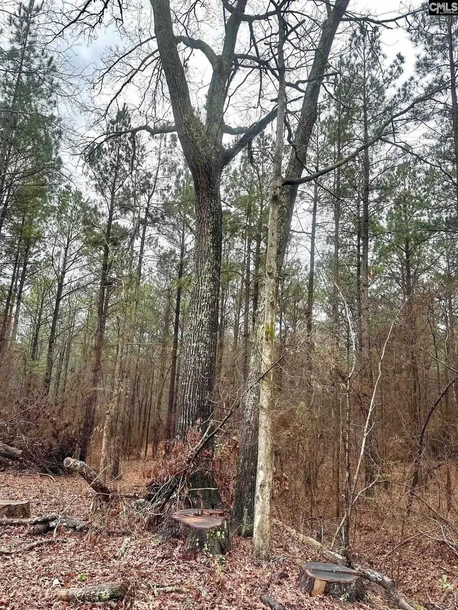 1178 Great Falls Highway, Chester, SC 29706 - #2