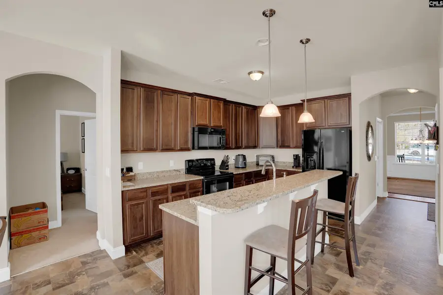 315 Eagle Claw Drive, Chapin, SC 29036 - #3