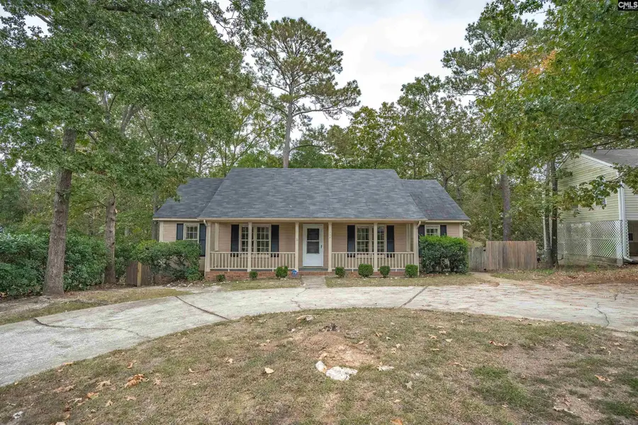 114 Riverwalk Way, Irmo, SC 29063 - #2