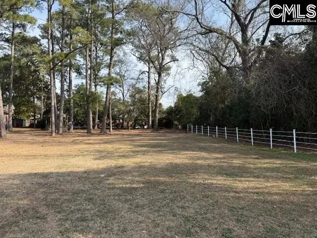 300 Dale Lane, Cayce, SC 29033 - #1