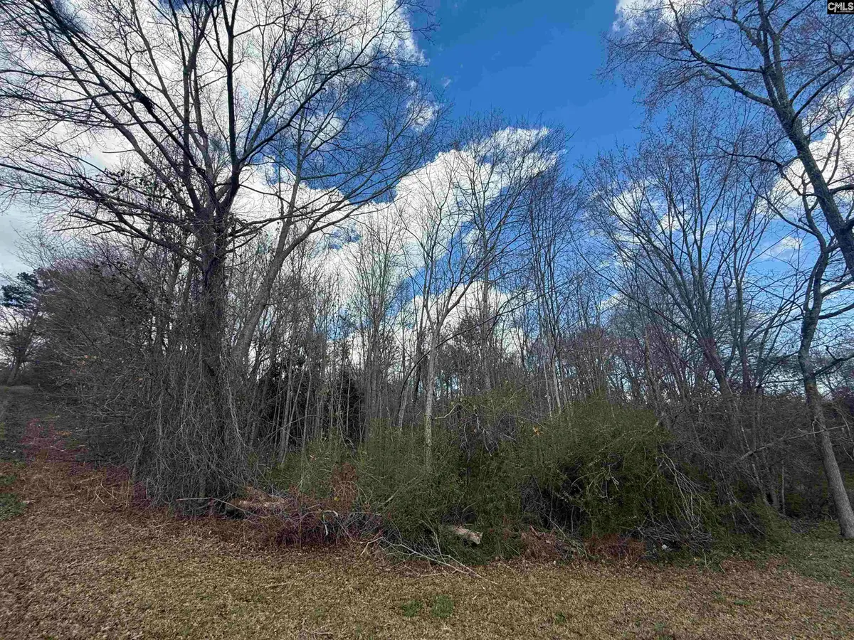 245 Slayton Street, Whitmire, SC 29178 - #1