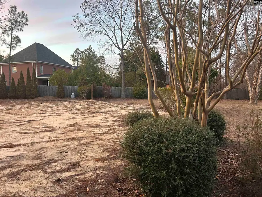 120 Brookhaven Circle, Blythewood, SC 29016 - #3