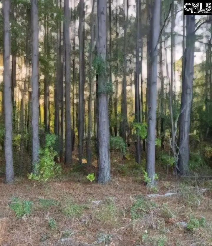 35 Simmons Dr., Camden, SC 29020 - #1