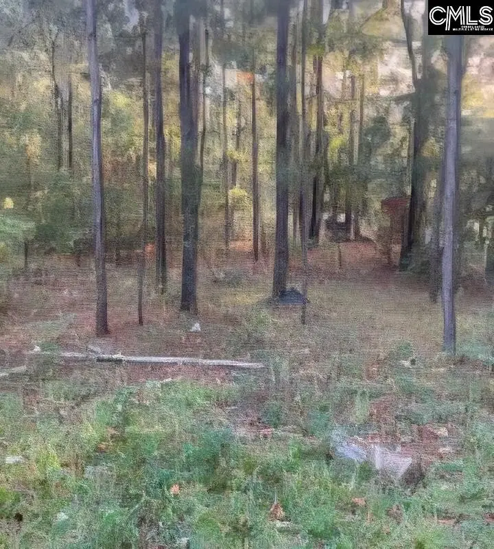 35 Simmons Dr., Camden, SC 29020 - #2