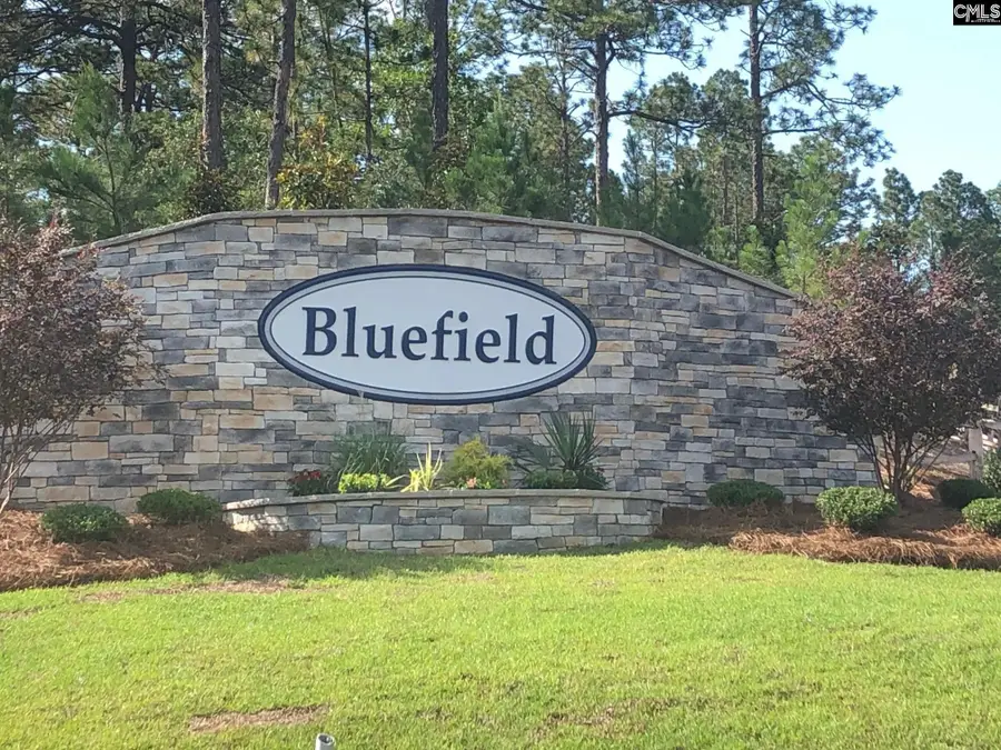 145 Aldergate Drive, Lexington, SC 29073 - #3