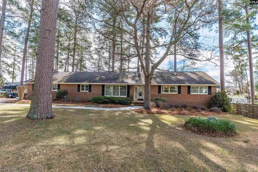 13 East Drive, Chapin, SC 29036 - #2