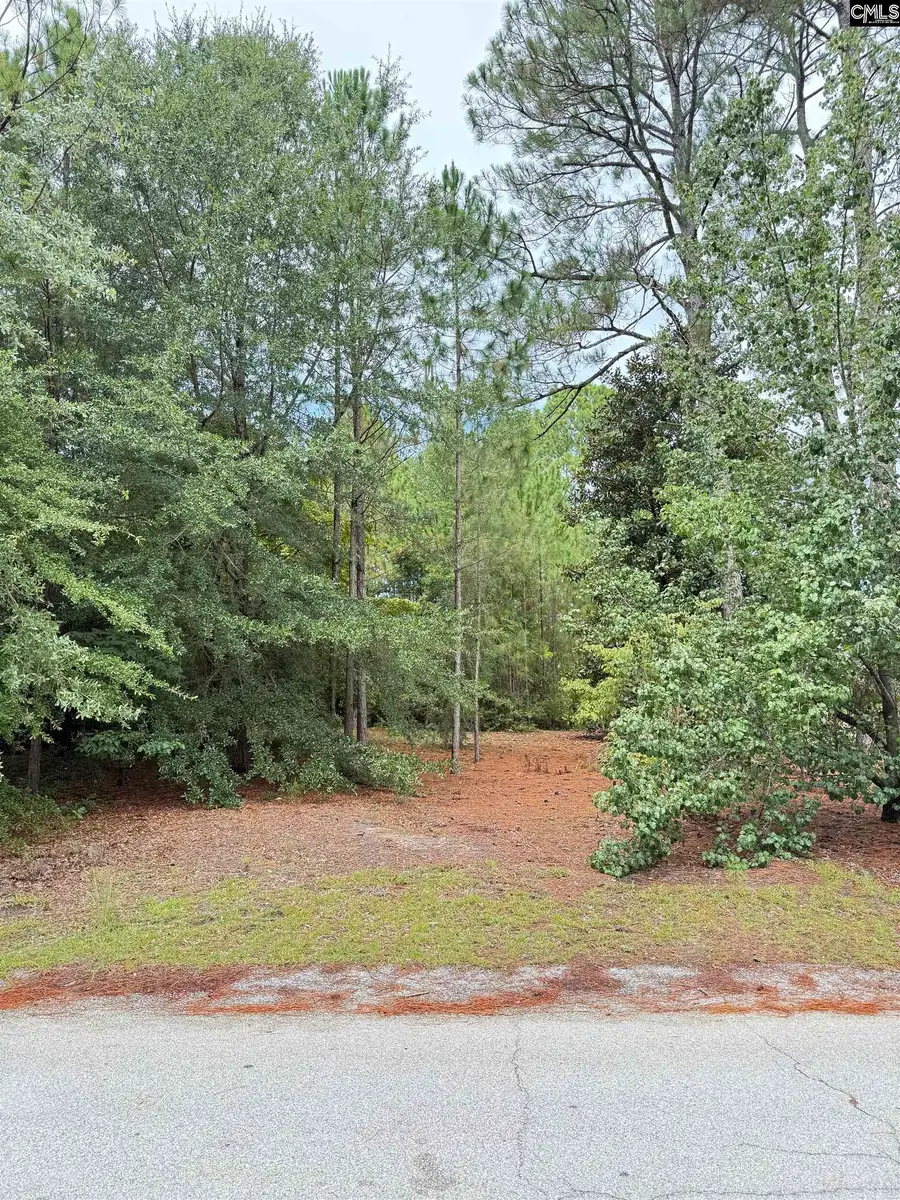 2413 Bermuda Hills Road, Columbia, SC 29223 - #3