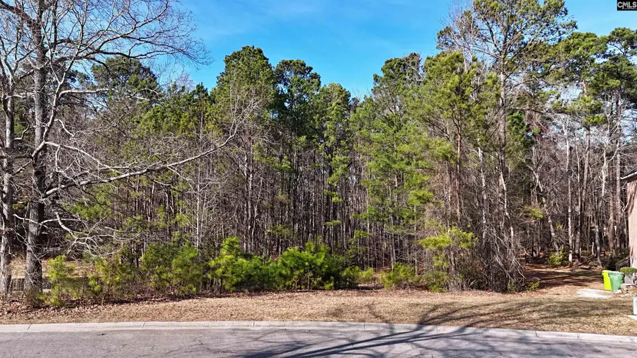 104 Fallen Leaf Drive, Columbia, SC 29229 - #2