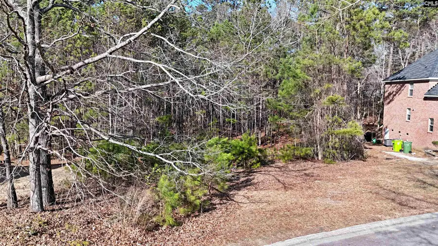 104 Fallen Leaf Drive, Columbia, SC 29229 - #3