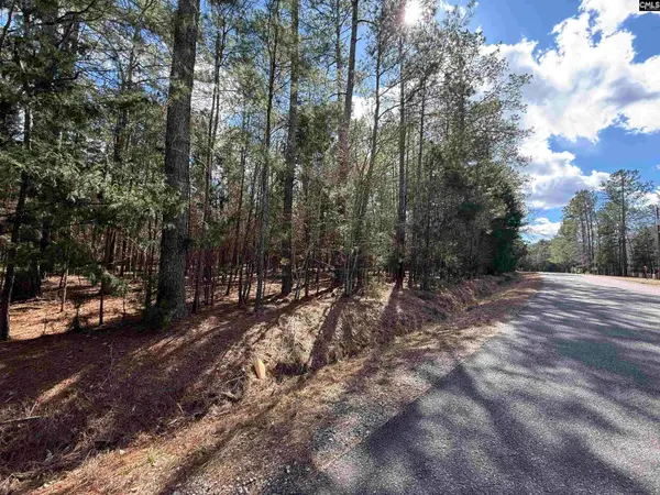 00 Ruby Riser Road, Batesburg, SC 29006