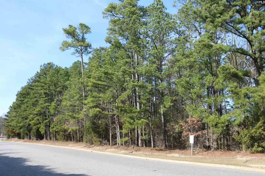 0 Woodcross Drive, Columbia, SC 29212 - #3
