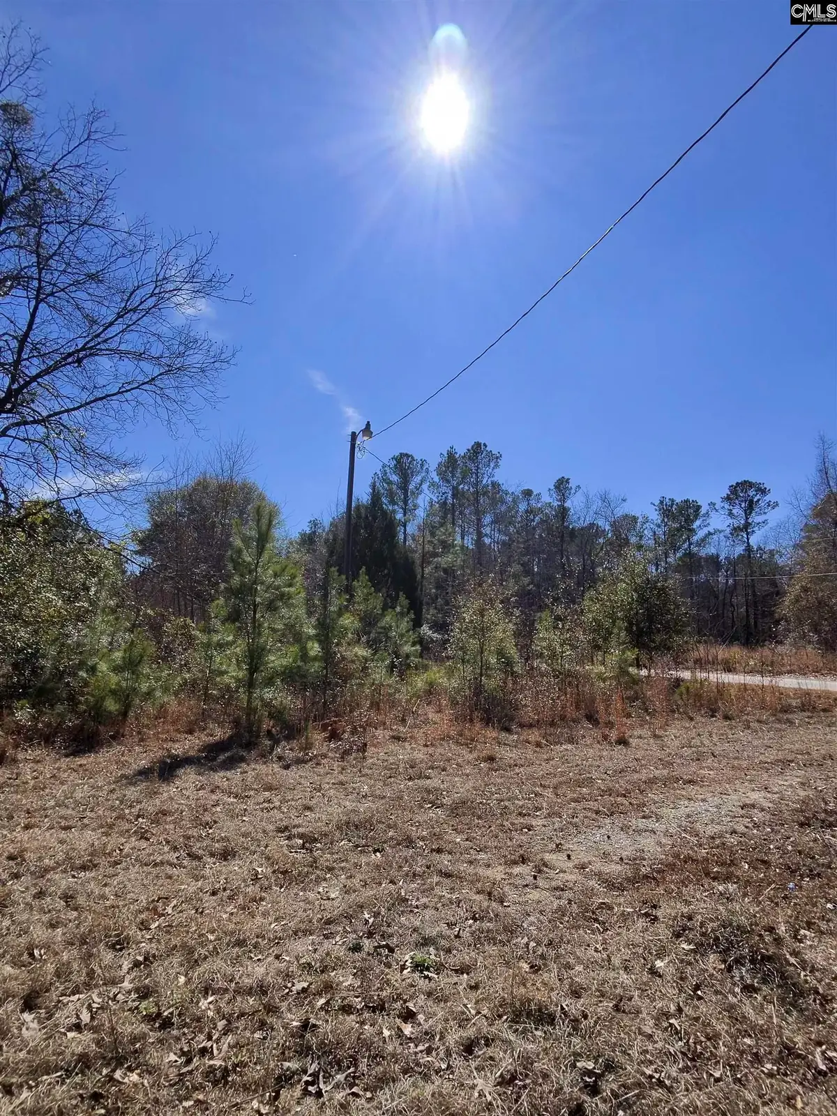 100 Robert James Road, Eastover, SC 29044 - #1