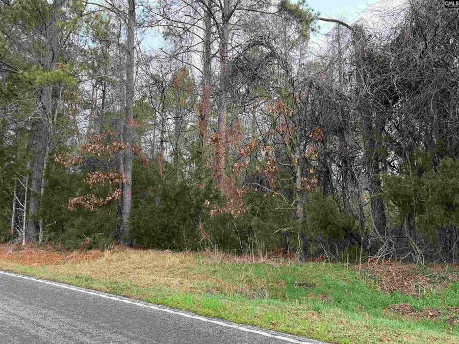 0 Saint Phillips Chruch Road, Prosperity, SC 29127 - #2