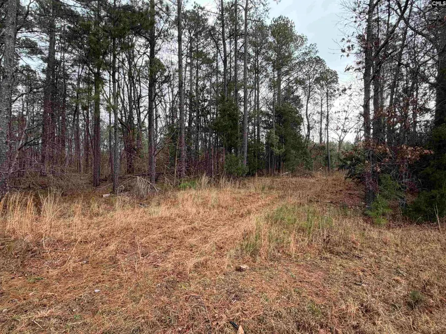 0 Saint Phillips Chruch Road, Prosperity, SC 29127 - #3