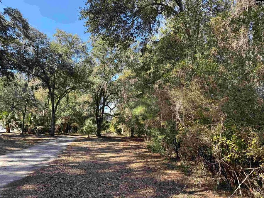 8384 Palmetto Road, Edisto Island, SC 29438 - #2