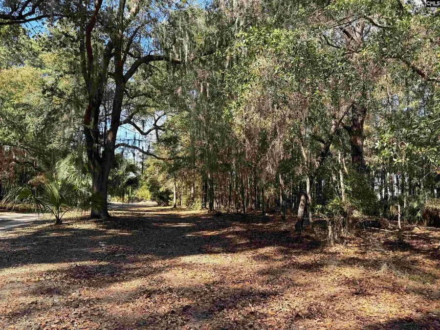 8384 Palmetto Road, Edisto Island, SC 29438 - #3