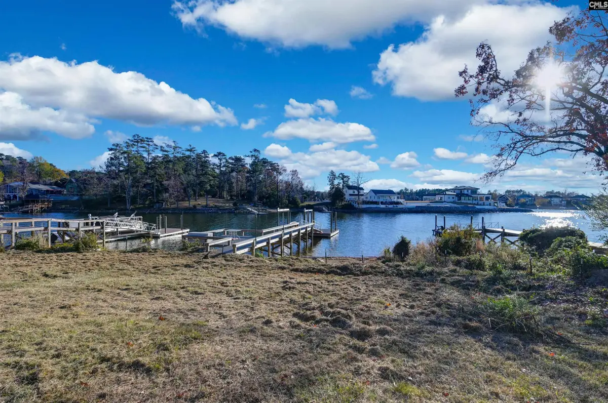 115 Setting Sun Lane, Columbia, SC 29212 - #1