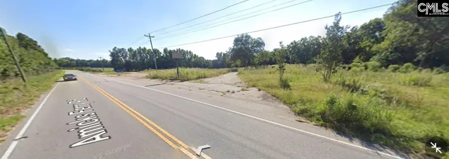 1304 Amicks Ferry Road, Chapin, SC 29036 - #2