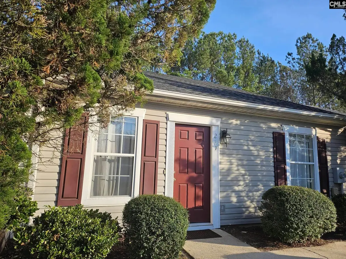 217 Twin Eagles Drive, Columbia, SC 29203 - #1
