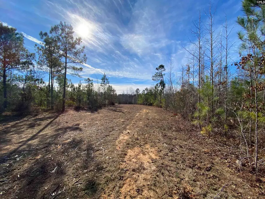 900 Piney Wood Road, Saluda, SC 29138 - #3